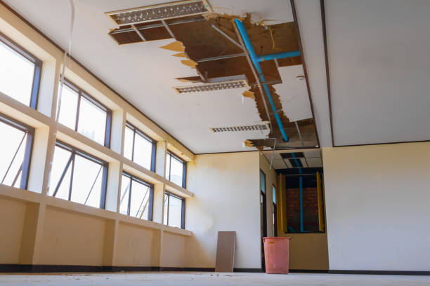 Best Flooded house restoration  in Union Beach, NJ