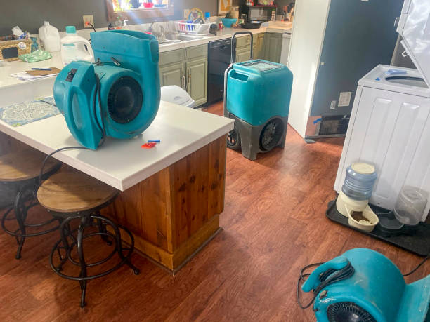 Best Professional water damage repair  in Union Beach, NJ