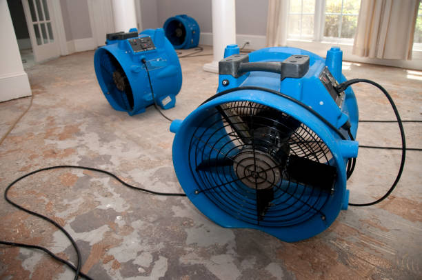 Best Residential water damage restoration  in Union Beach, NJ