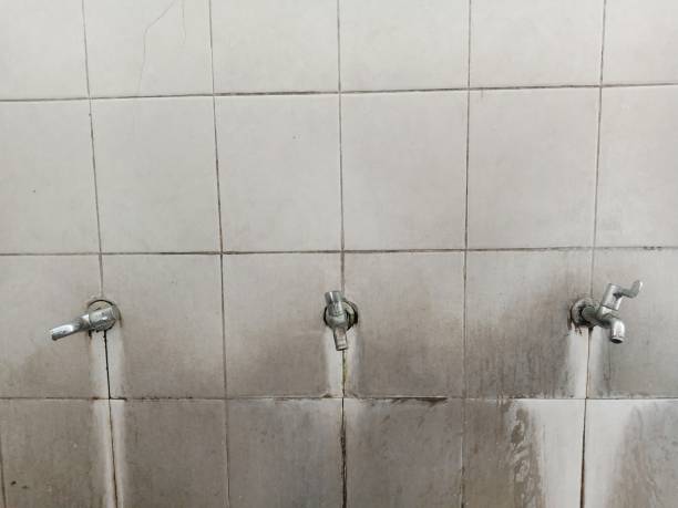 Best Water damage contractors near me  in Union Beach, NJ