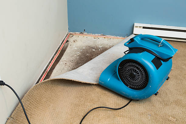 Best Flooded house restoration  in Union Beach, NJ
